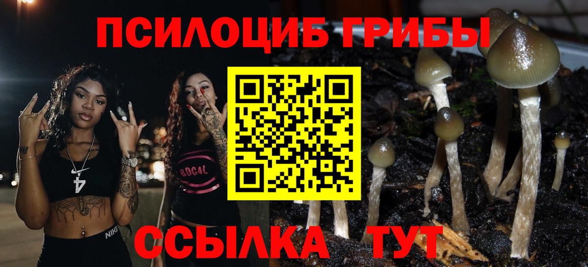 Галлюциногенные грибы прущие грибы  Вход с VPN  наркошоп  Луга 