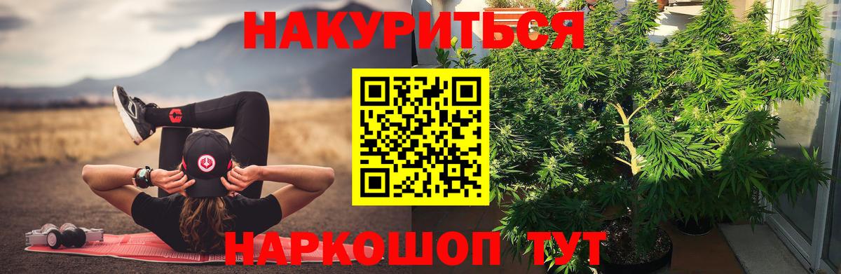 Шишки марихуана сатива Луга